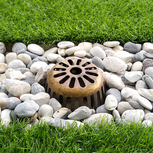 This field does not exist